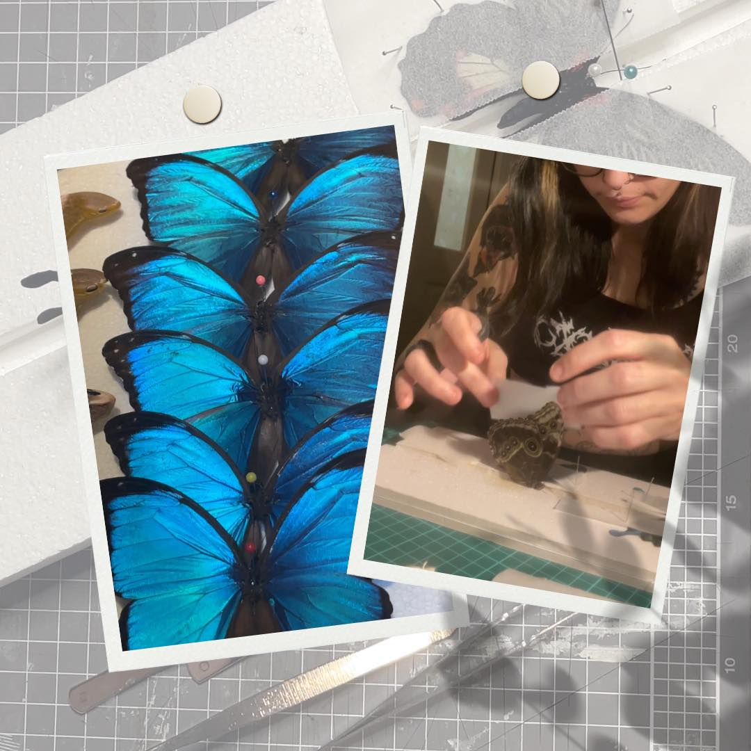 Shop with confidence - learn why our customers keep coming back. From our five-star customer service to our top quality goods.