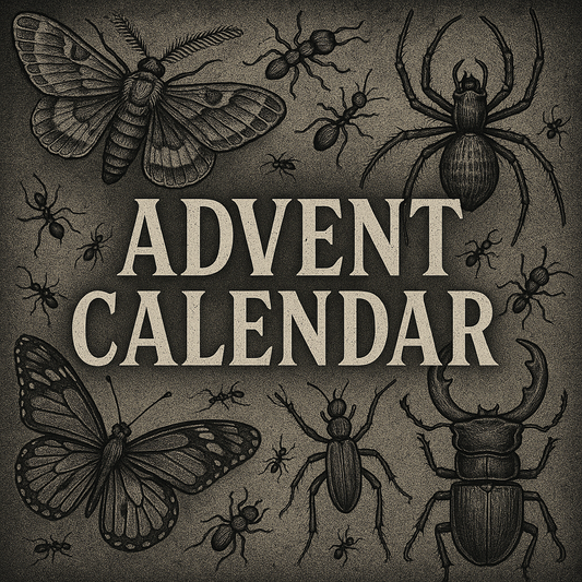 2025 Advent Calender
