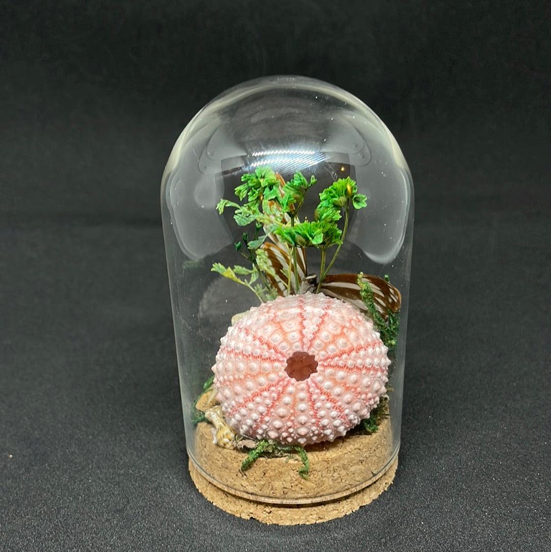 Black and White Butterfly in glass dome - Pumpkin Cat Collectables - pumpkincatcollectables.com