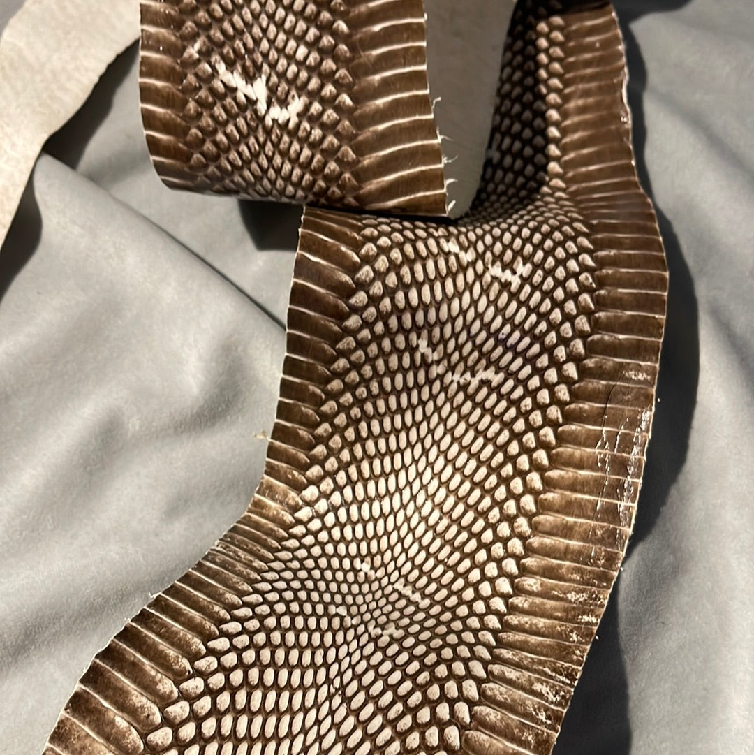 Cobra skin