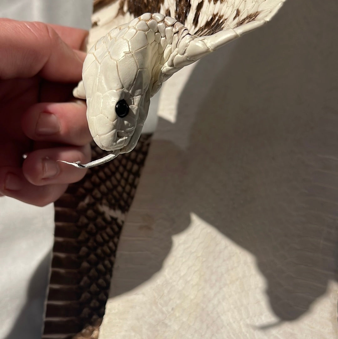 Cobra skin