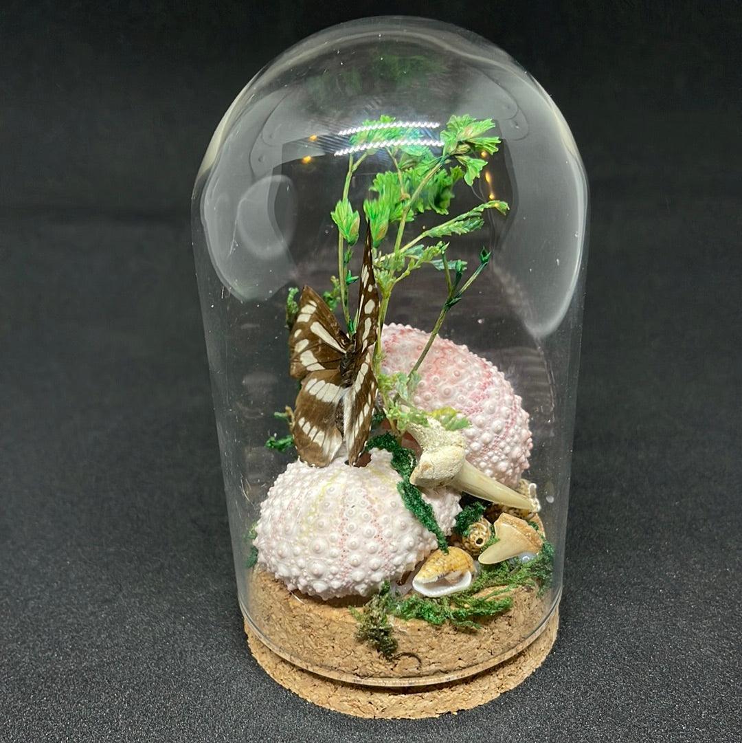 Black and White Butterfly in glass dome - Pumpkin Cat Collectables - pumpkincatcollectables.com