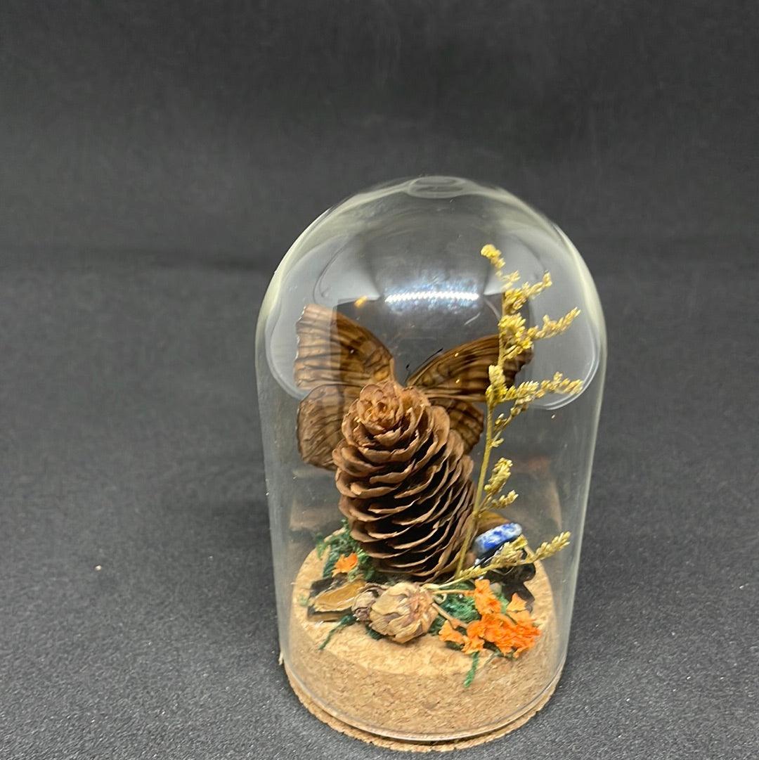 Beautiful Brown Butterfly in glass dome - Pumpkin Cat Collectables - pumpkincatcollectables.com