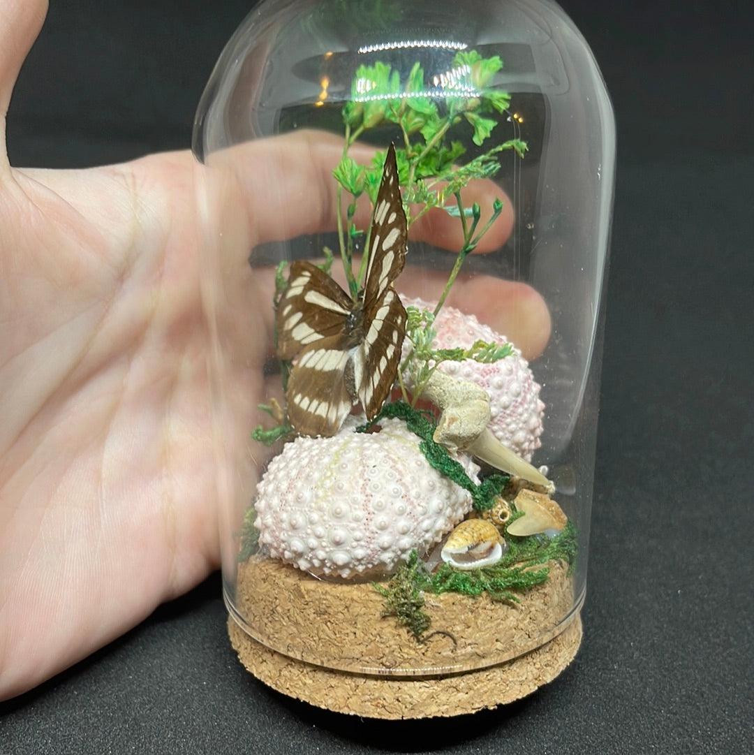 Black and White Butterfly in glass dome - Pumpkin Cat Collectables - pumpkincatcollectables.com