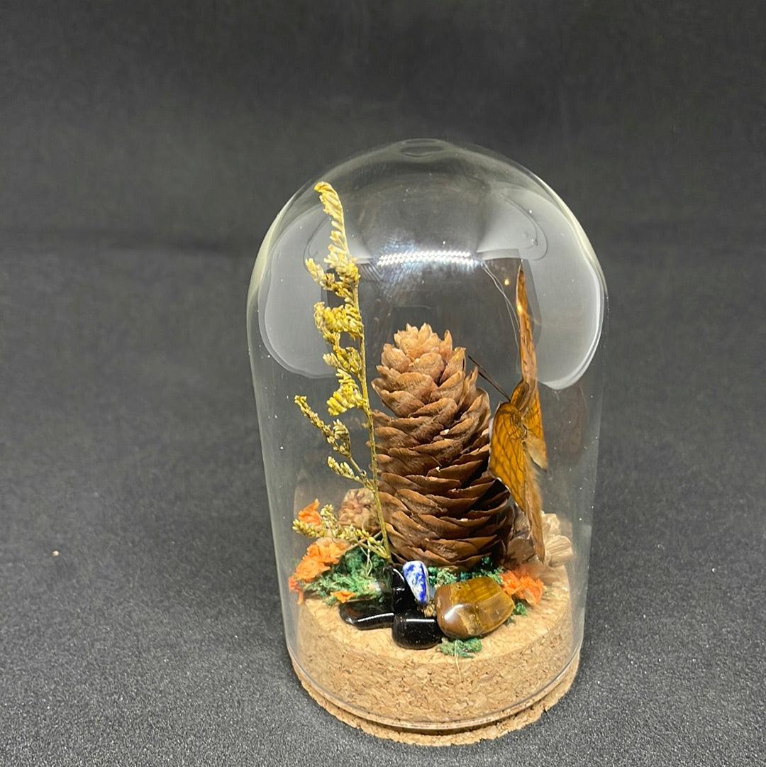 Beautiful Brown Butterfly in glass dome - Pumpkin Cat Collectables - pumpkincatcollectables.com