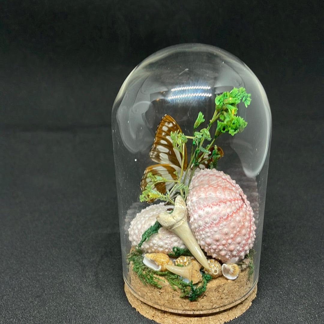 Black and White Butterfly in glass dome - Pumpkin Cat Collectables - pumpkincatcollectables.com